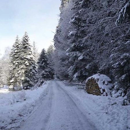 Gite Hansel De La Ferme Du Schneeberg ワンジャンブール エクステリア 写真