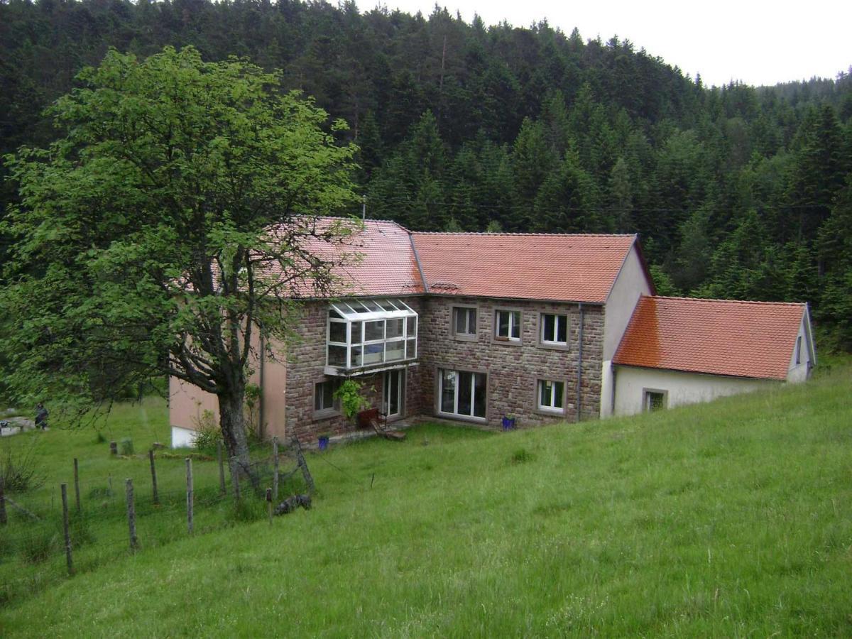 Gite Hansel De La Ferme Du Schneeberg ワンジャンブール エクステリア 写真