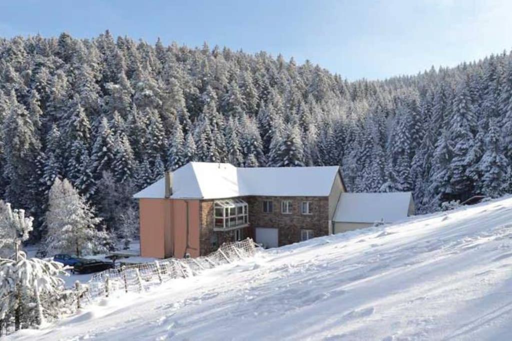 Gite Hansel De La Ferme Du Schneeberg ワンジャンブール エクステリア 写真