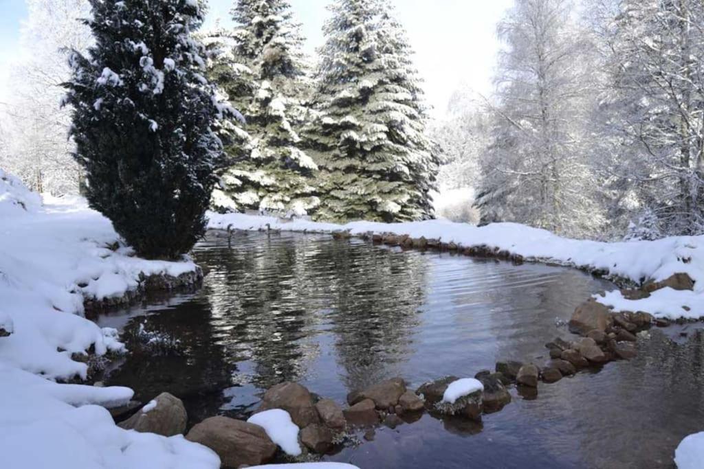 Gite Hansel De La Ferme Du Schneeberg ワンジャンブール エクステリア 写真