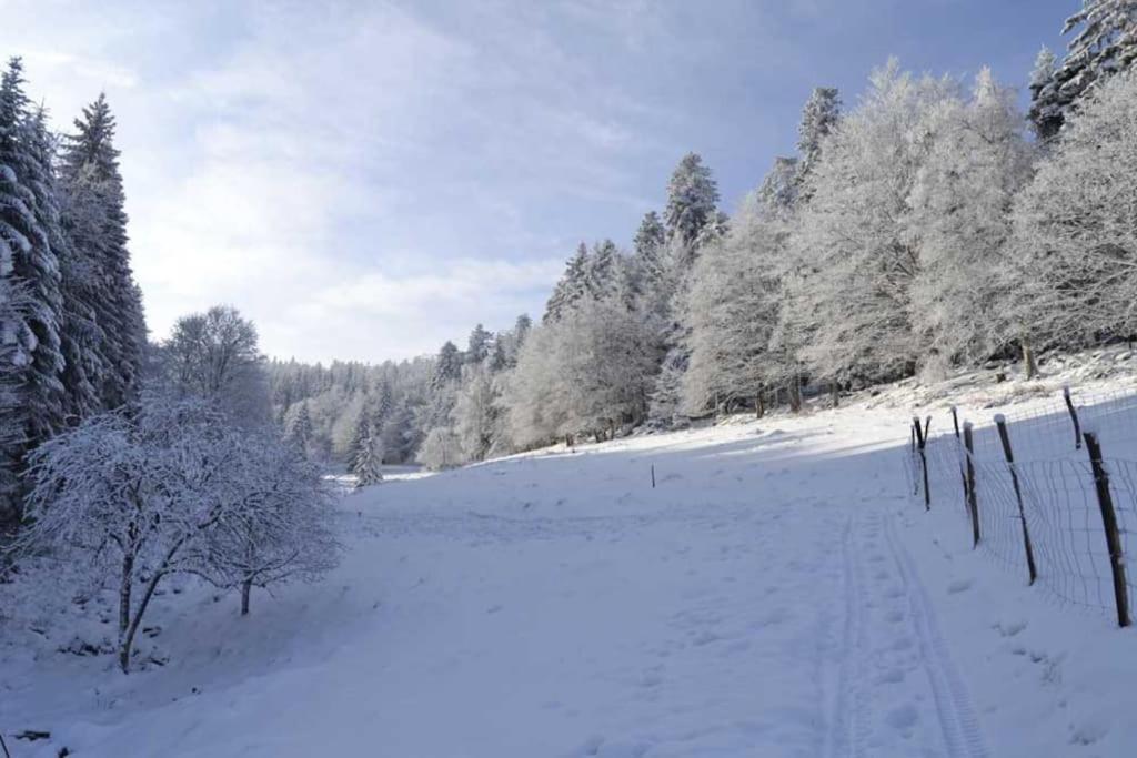 Gite Hansel De La Ferme Du Schneeberg ワンジャンブール エクステリア 写真